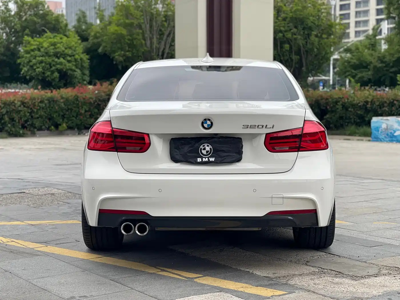 BMW 3 Series 2019 320Li M Luxury Package фото 9
