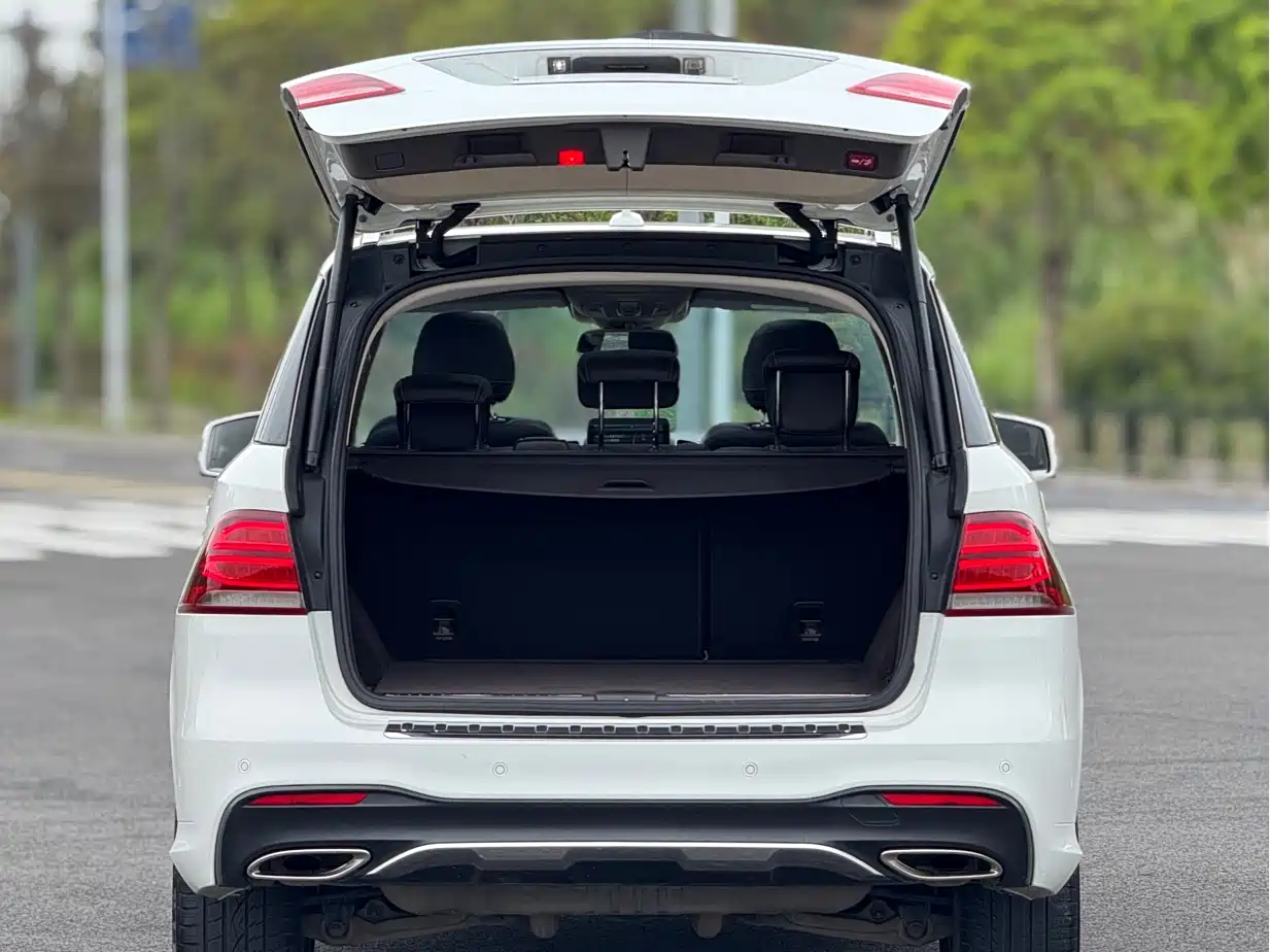 Mercedes-Benz GLE 2015 GLE 320 4MATIC фото 18