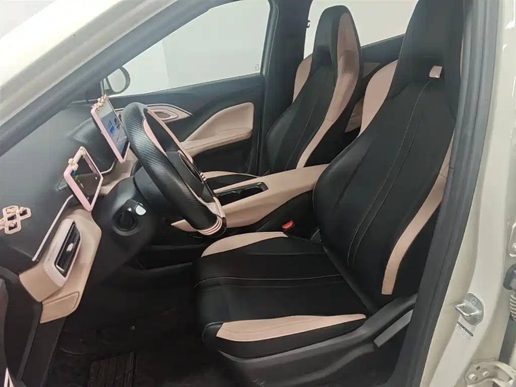 BYD Seagull 2025 Smart Drive Edition 305km Vitality Version фото 15