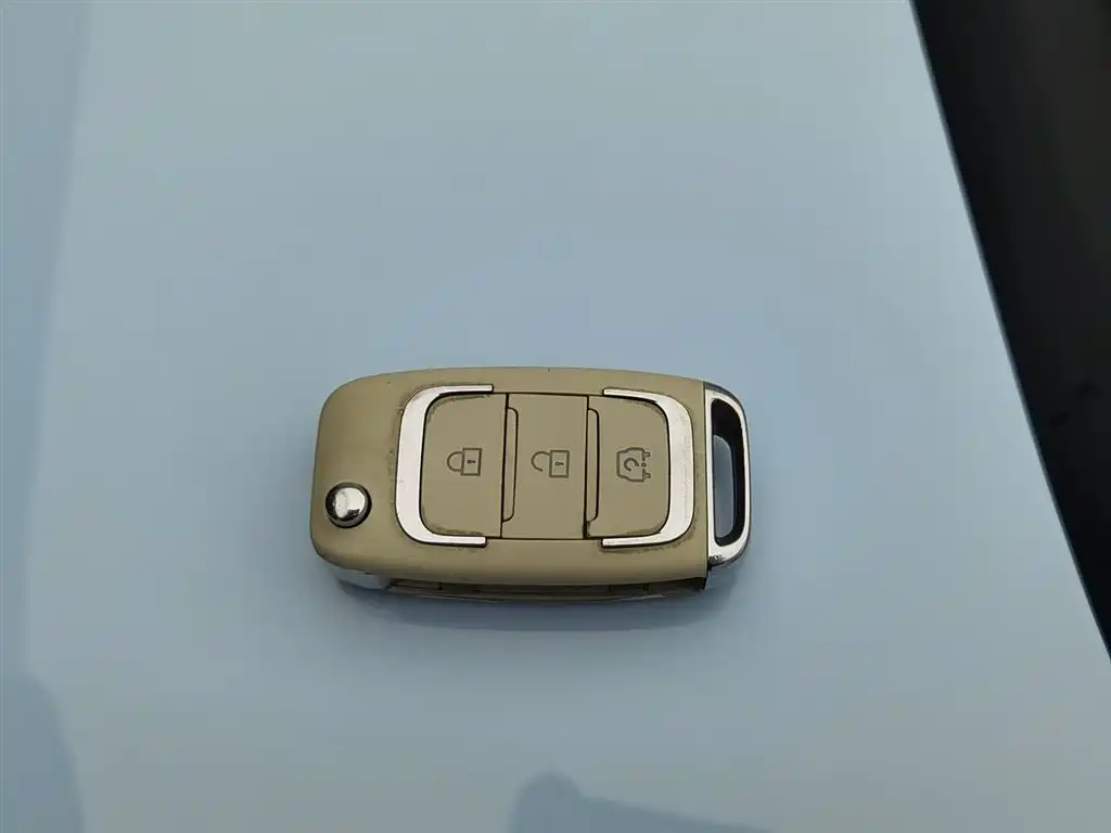 DONGFENG SCENERY MINIEV