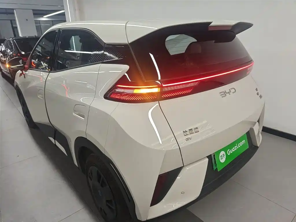 BYD Seagull 2025 Smart Drive Edition 305km Vitality Version фото 5