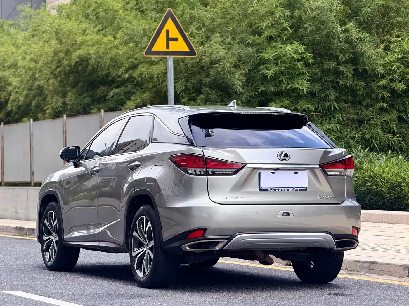 Lexus RX 2020 Facelift 300 AWD Elegance Edition фото 5