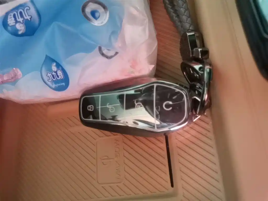 BYD Song L DM-i 2025 Smart Drive 160km Premium фото 9