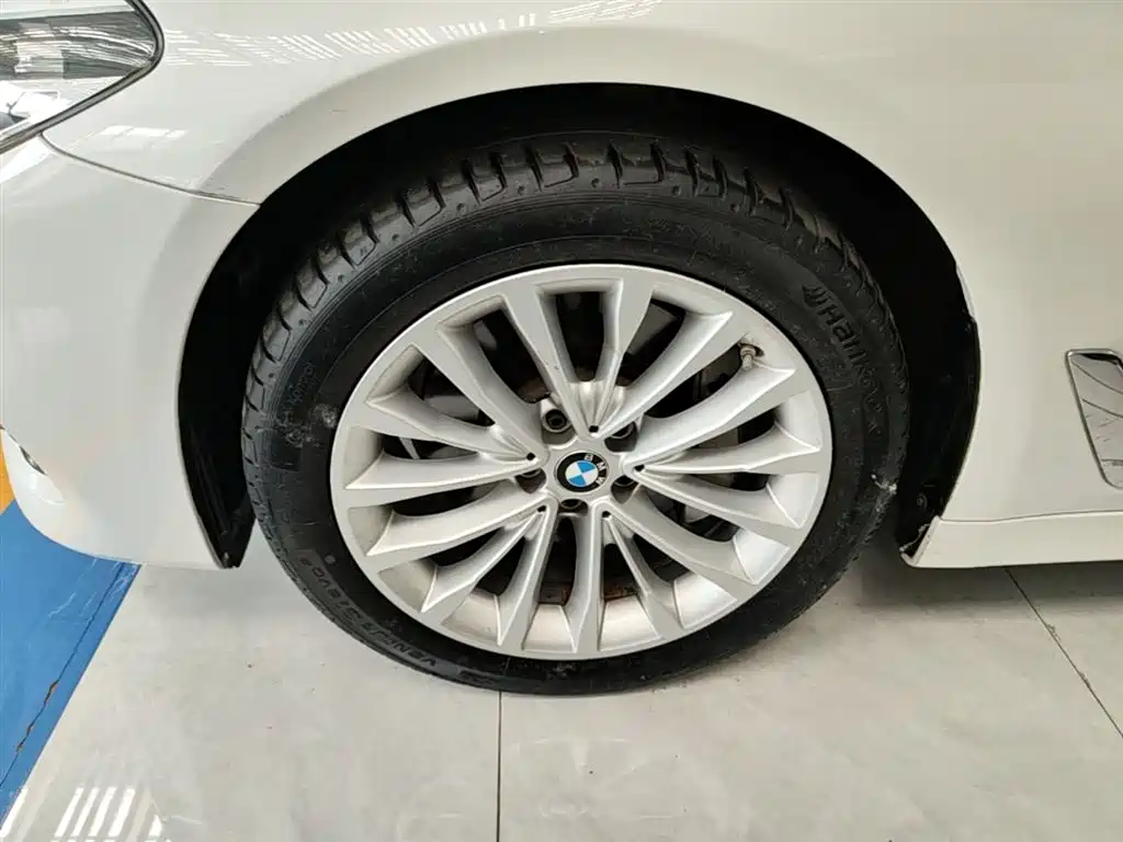 BMW 5 Series 2019 Facelift 530Li Leading Luxury Package фото 23