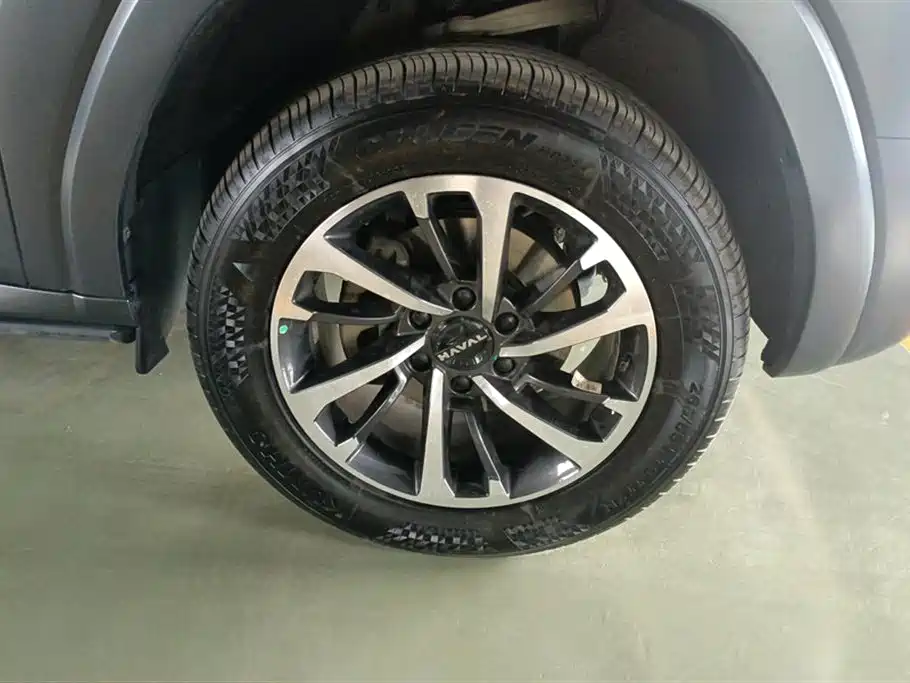 Haval H9 2024 2.0T Gasoline AWD Extreme Edition фото 6