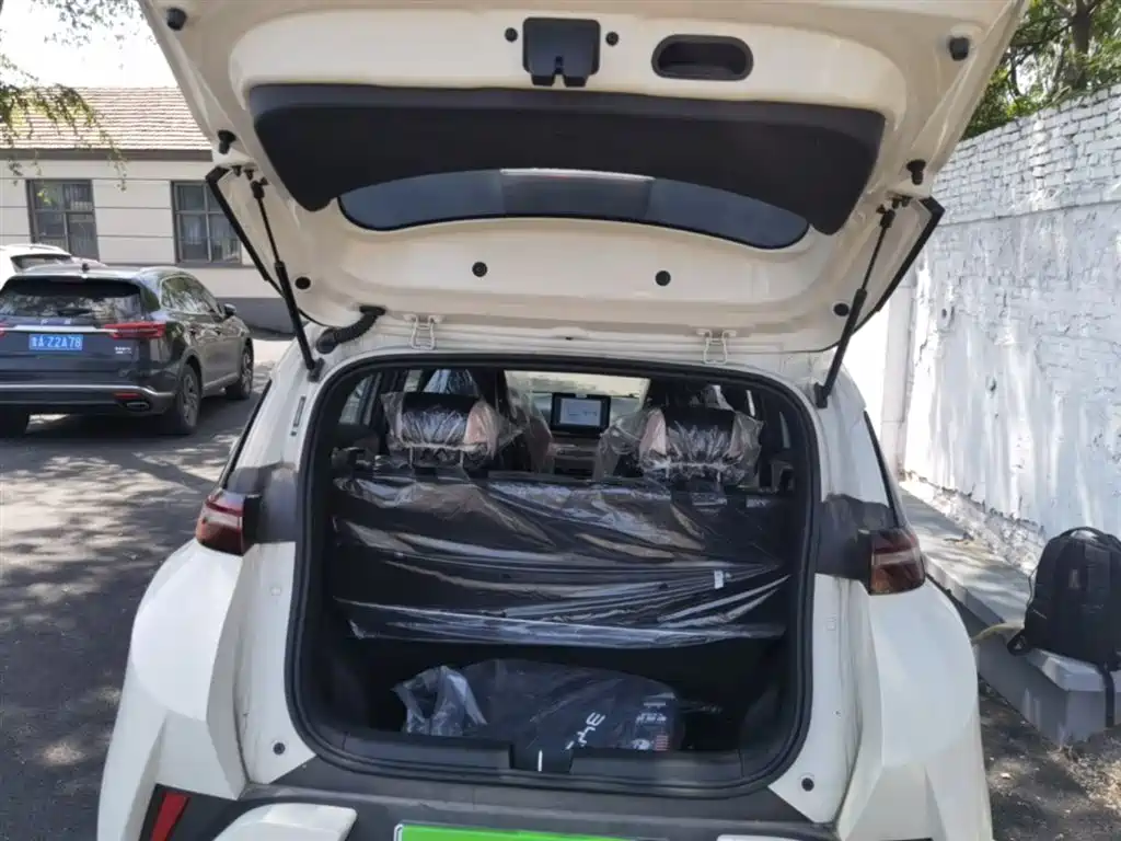 BYD Seagull 2025 Smart Drive Edition 305km Vitality Version фото 19
