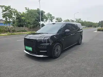 Zeekr 009