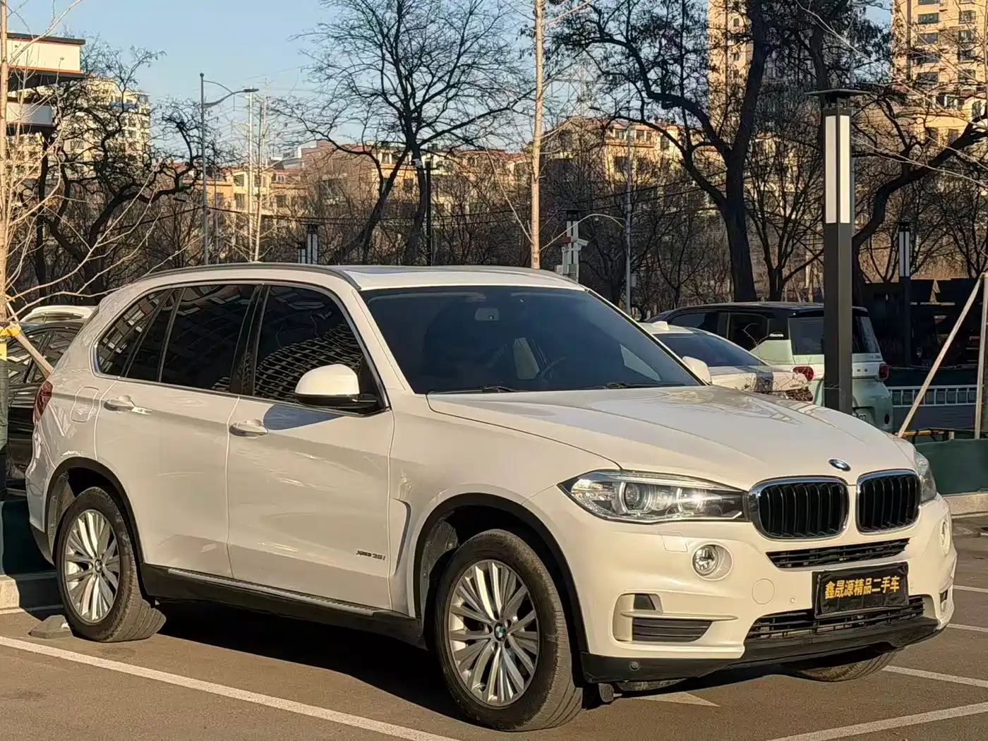 BMW X5 (Import) 2014 xDrive35i Luxury фото 3