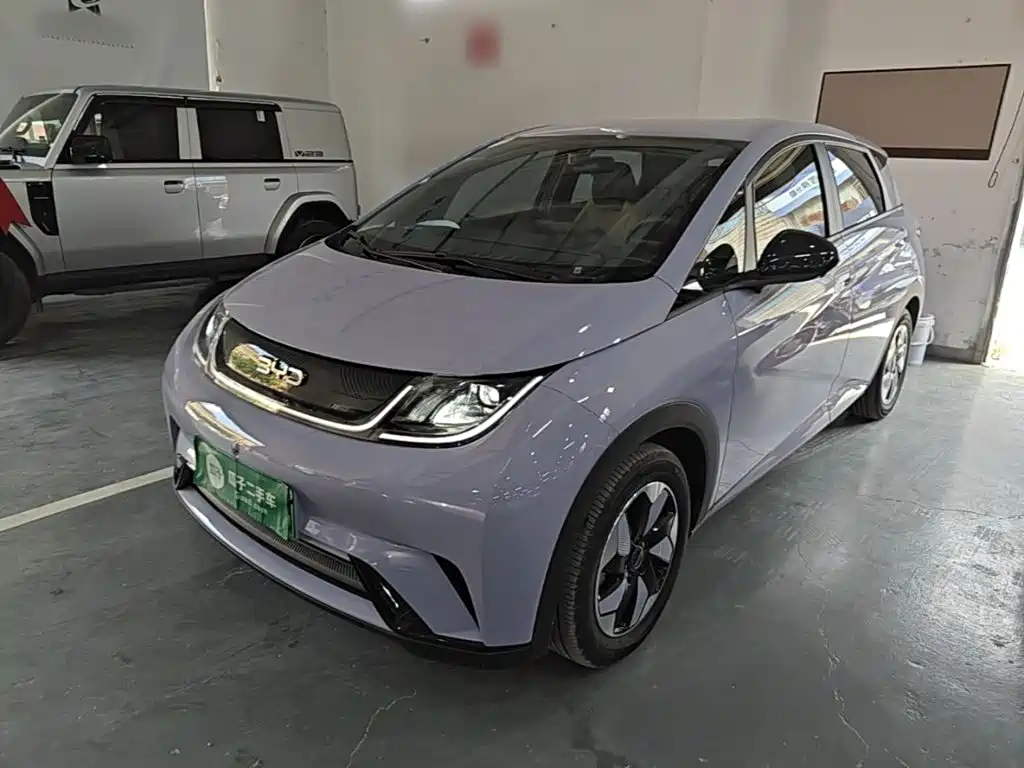 BYD Dolphin 2024