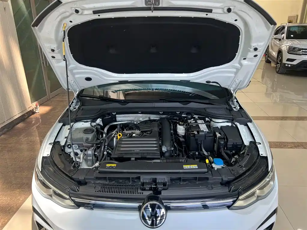 Volkswagen Golf 2021 280TSI DSG R-Line фото 21