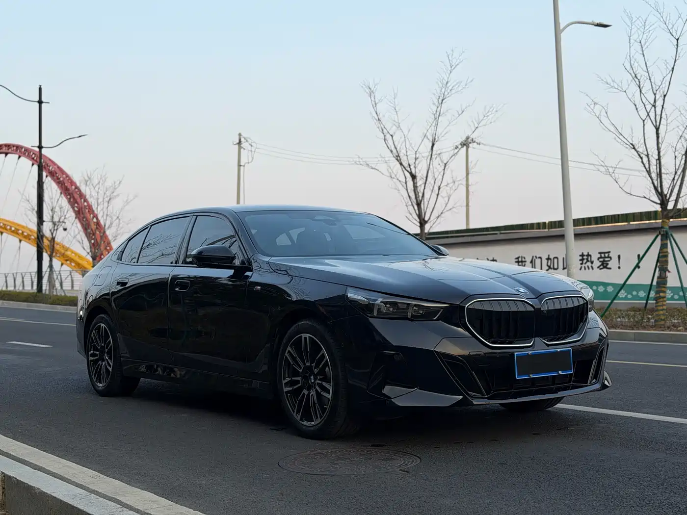 BMW 5 Series 2025 530Li Leading M Sport Package фото 3