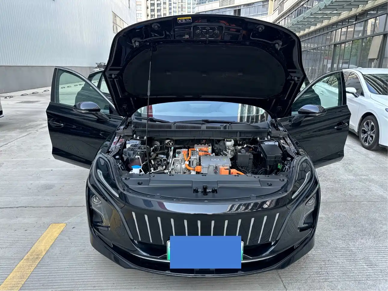 Фото 7 - Hongqi E-QM5