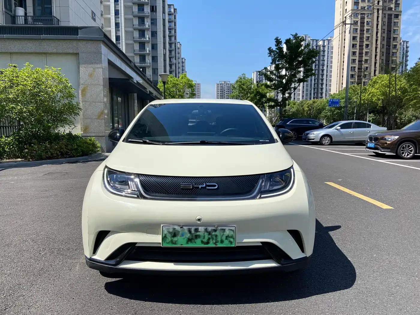 BYD Dolphin 2023 420km Freedom Edition фото 2