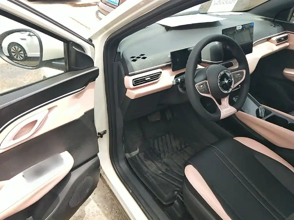 BYD Seagull 2025 Smart Drive Edition 305km Vitality Version фото 16