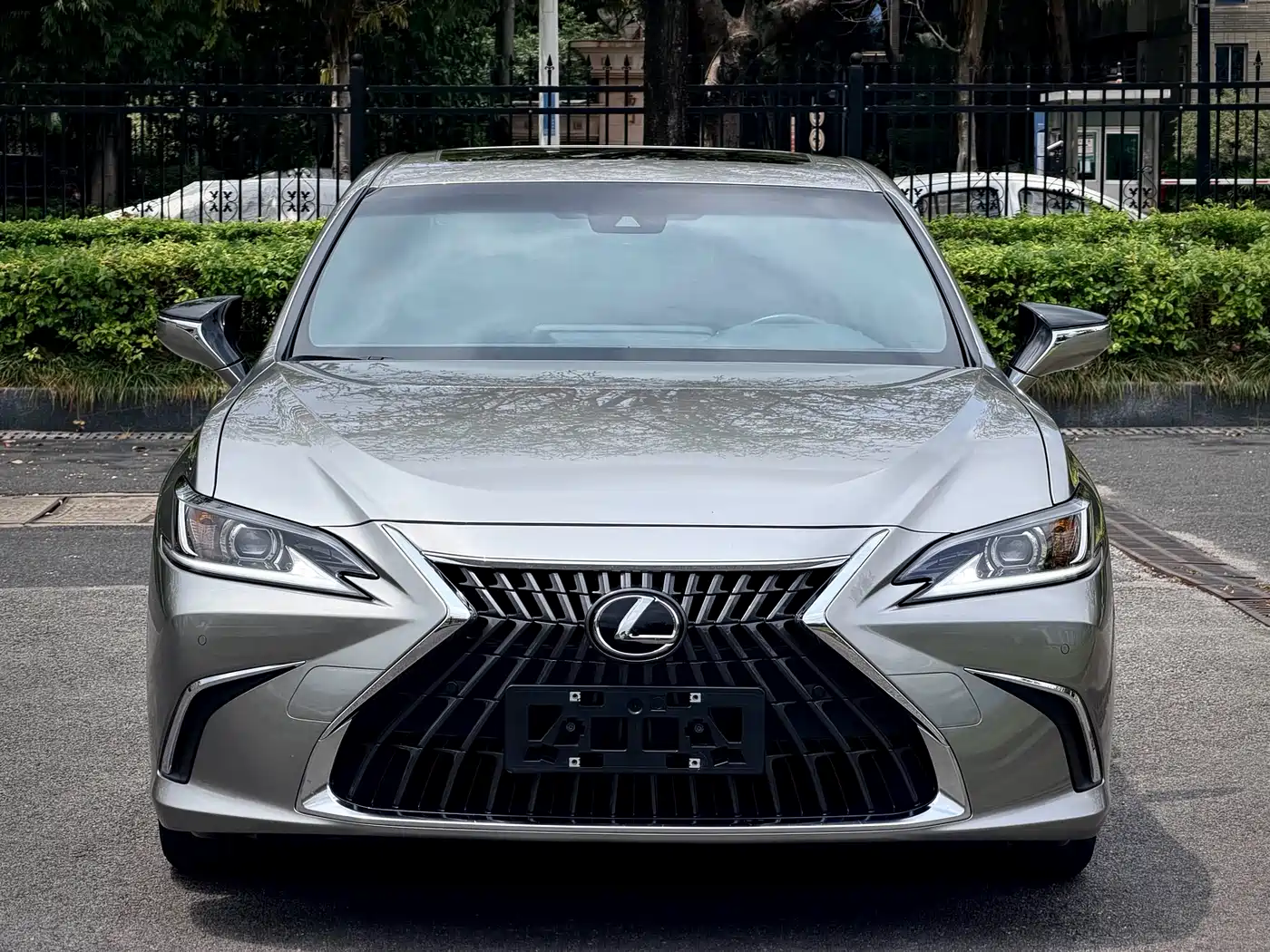 Lexus ES 2023 200 Excellence Edition фото 2