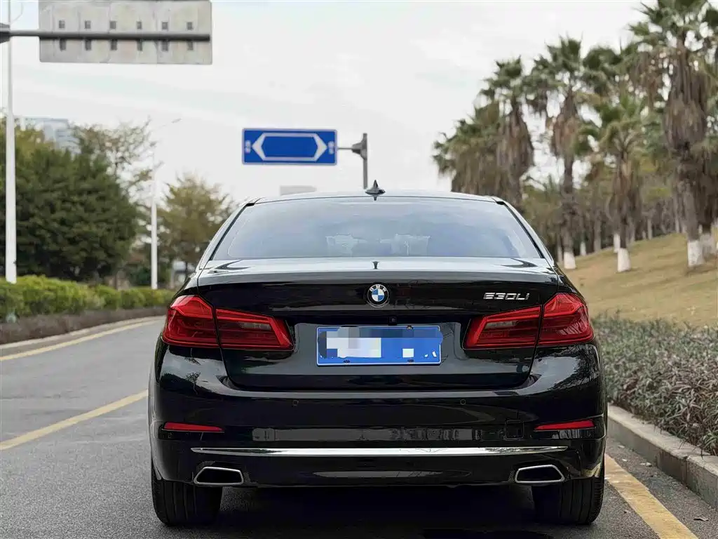 BMW 5 Series 2018 530Li Exclusive Luxury Package фото 17