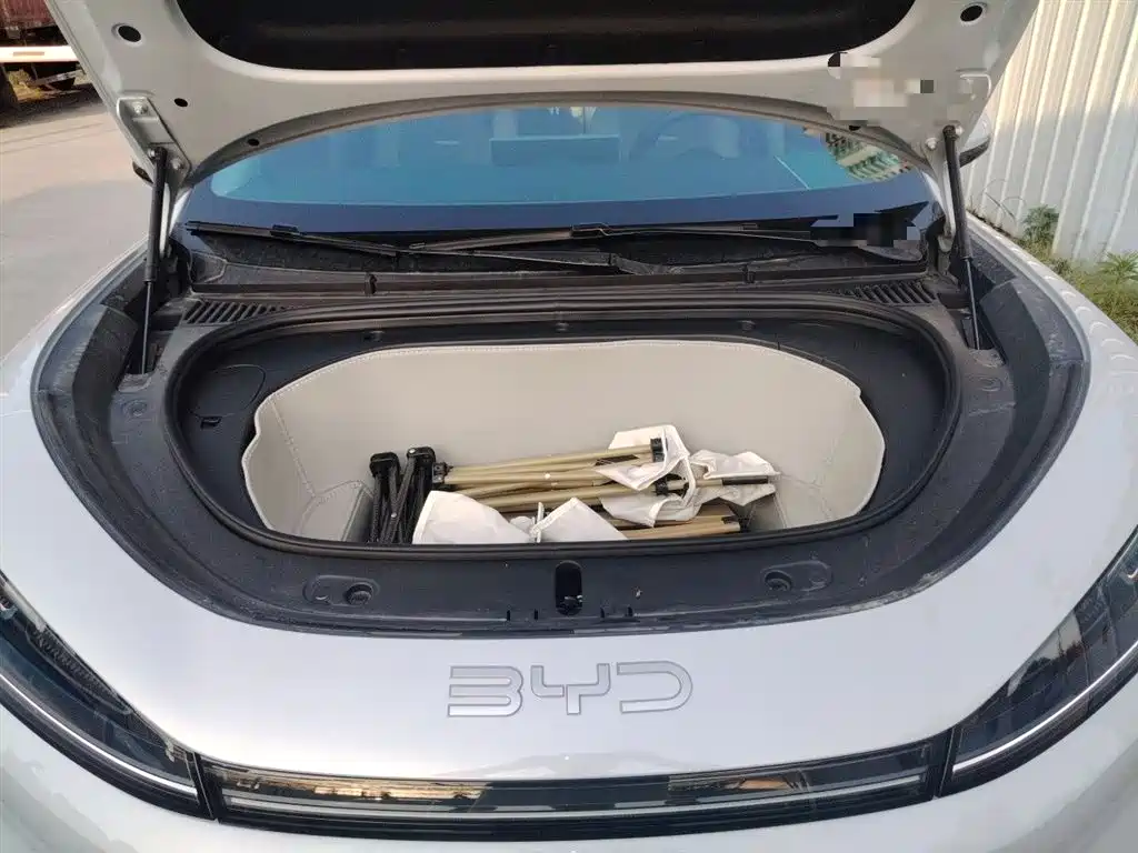 BYD Hai Shi 05 EV 2025 520KM Smart Navigation Edition фото 11