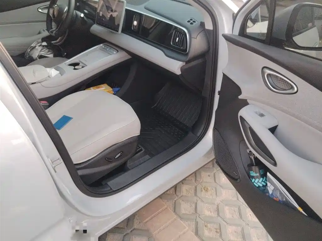 BYD Hai Shi 05 EV 2025 520KM Smart Navigation Edition фото 20