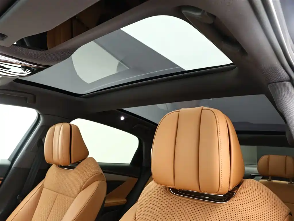 Voyah Auto VOYAH Zhuiguang 2024 PHEV AWD Ultra Long Range Flagship фото 12