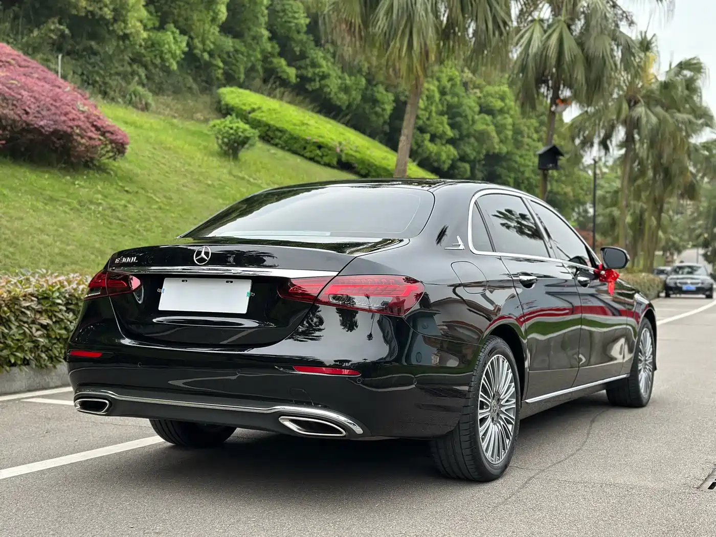 Mercedes-Benz E-Class 2023 E 300 L Luxury фото 13