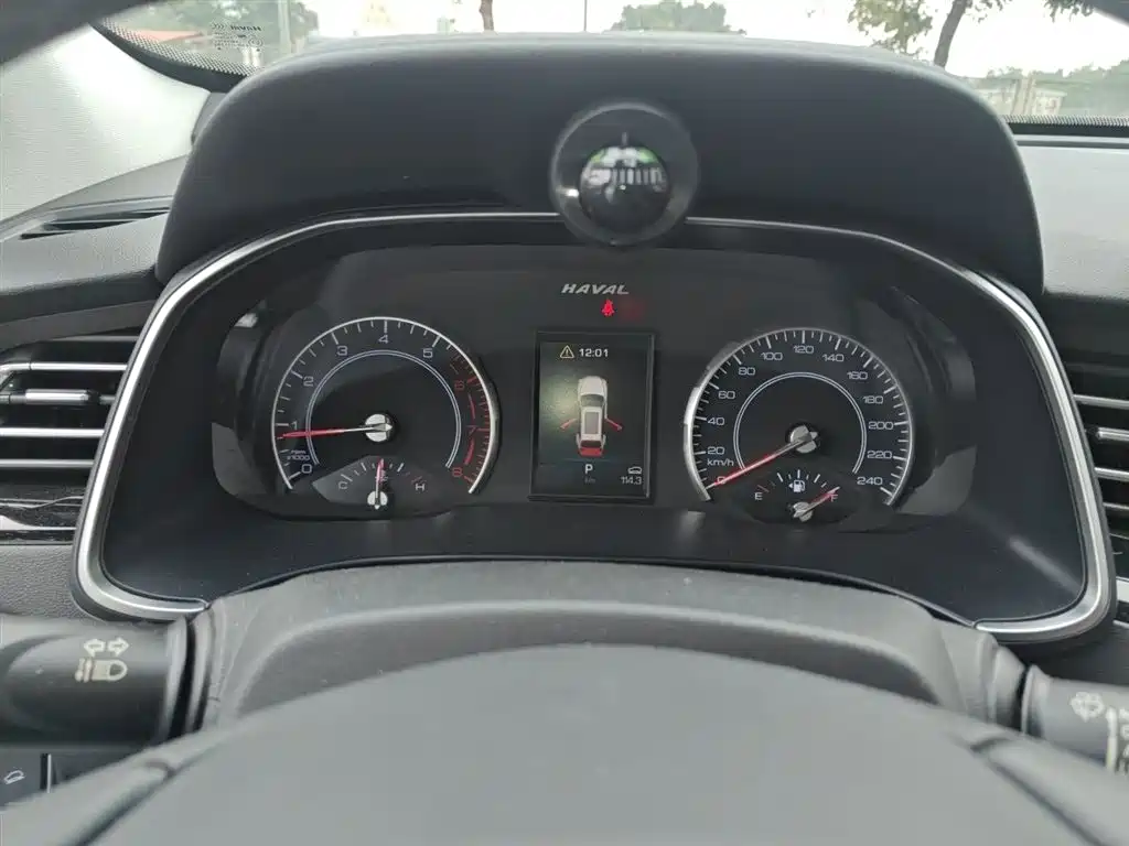Haval H6 2019 1.5GDIT Automatic Champion Edition China VI фото 4