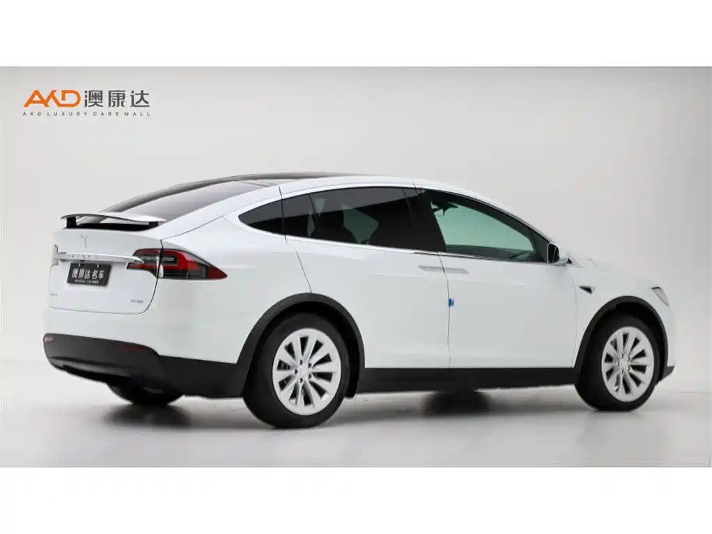 Tesla Model X 2017 2017 Model X 100D Long Range