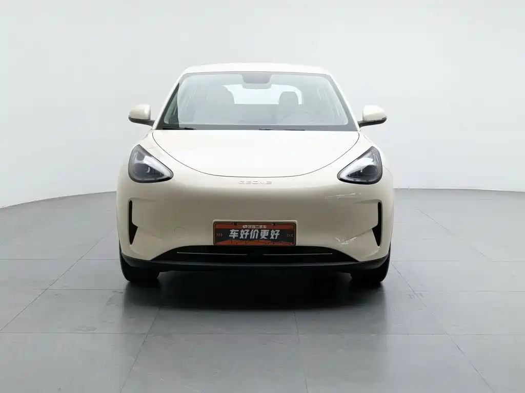 Geely Galaxy Starry Wish 2025 2025 310km Youth Edition