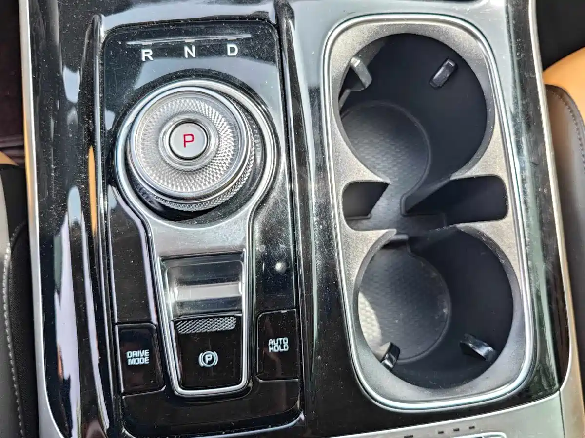 Kia Carnival 2021 2.0T Luxury Edition фото 8