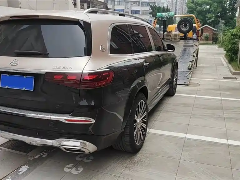 Mercedes-Benz Maybach GLS 2025 GLS 480 4MATIC фото 2