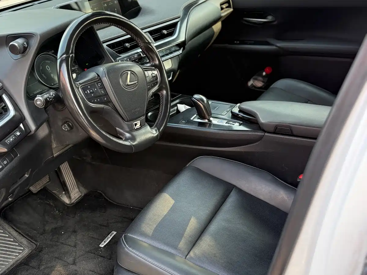 Lexus UX Electric 2022 2020 300e Pure Enjoyment Edition