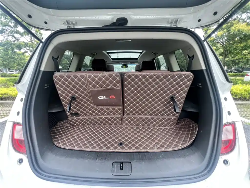 Buick GL6 2019 18T 6-seat Connected Luxury China VI фото 21