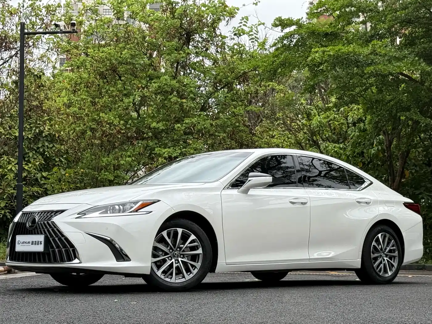 Lexus ES 2023 260 Excellence