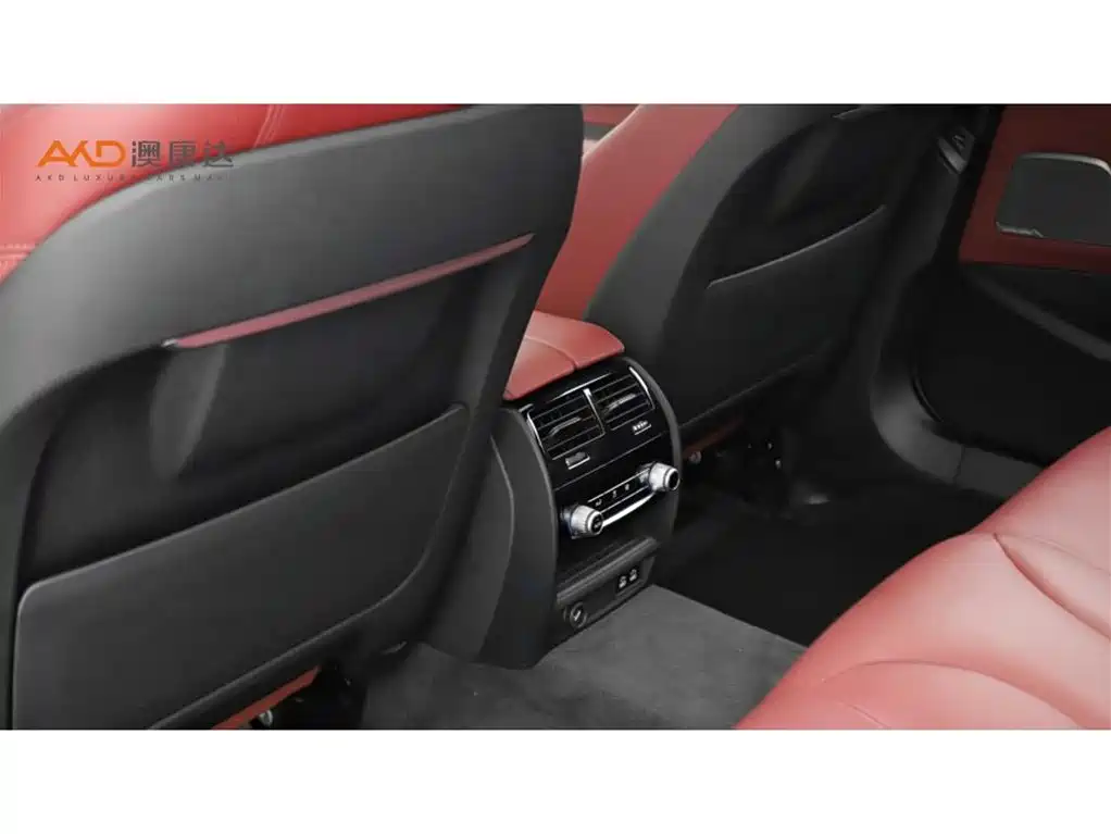 BMW 5 Series 2020 530Li Exclusive M Sport Package фото 9