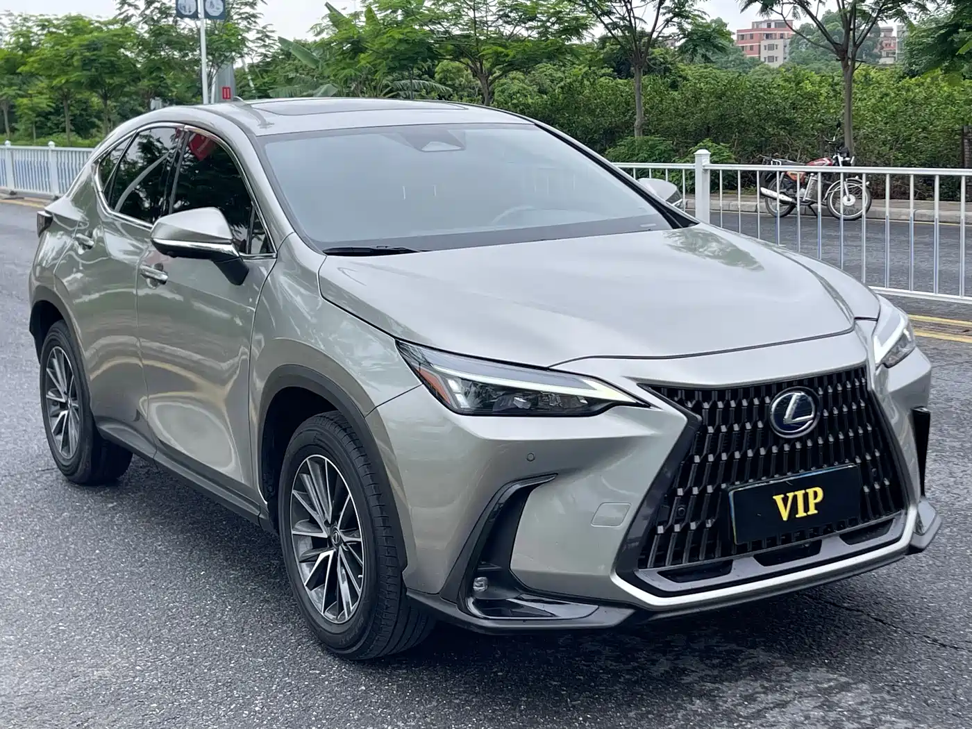 LEXUS NX