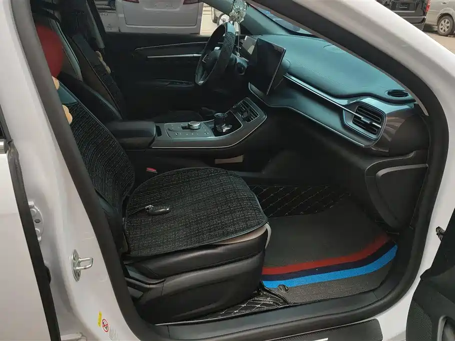 BYD Destroyer 05 2024 Glory Edition DM-i 55KM Luxury фото 8