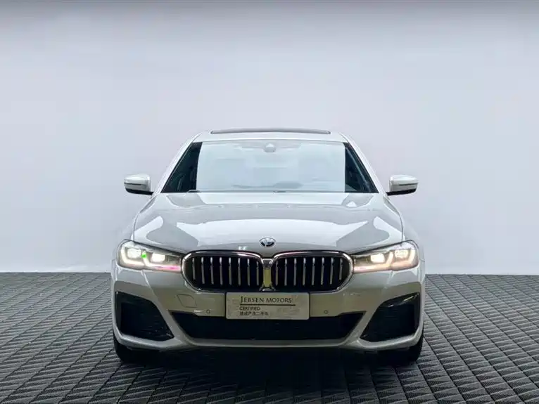BMW 5 Series 2021 530Li Leading M Sport Package фото 2