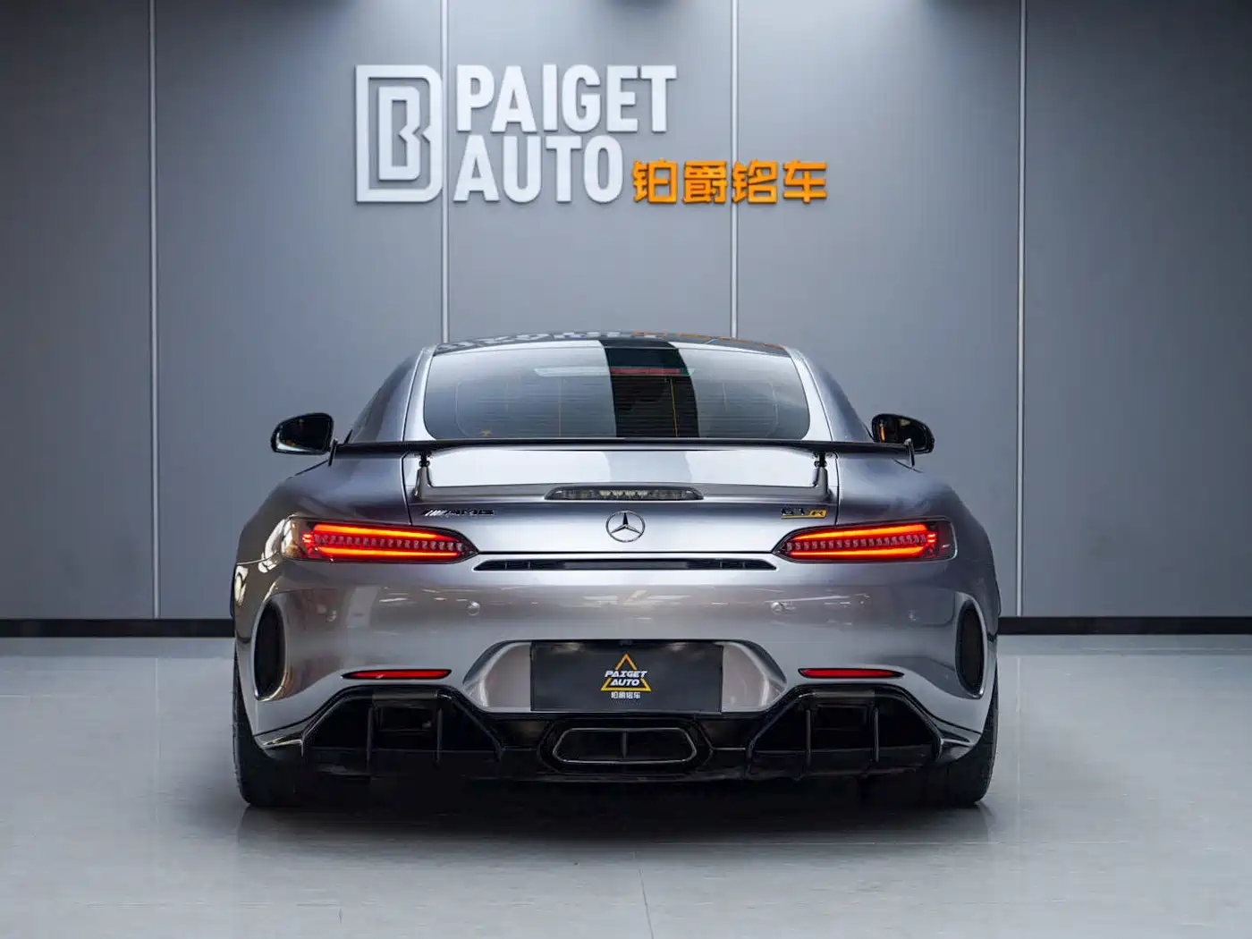 Mercedes-Benz AMG GT 2019 AMG GT R фото 6