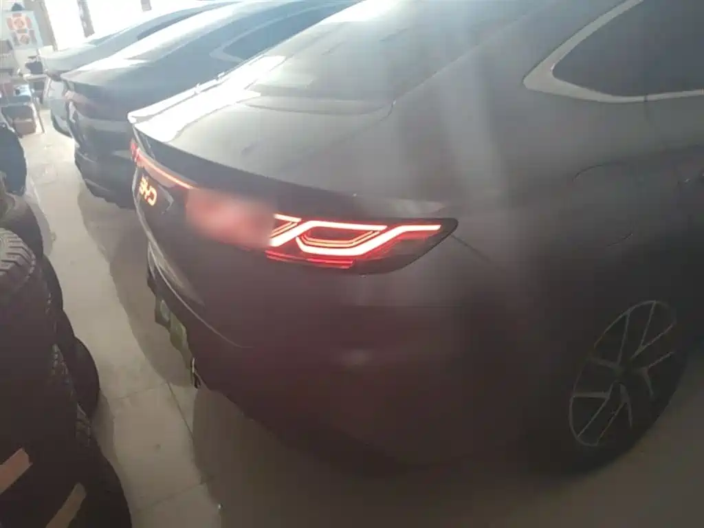 BYD Qin L 2024 DM-i 120KM Leading фото 8