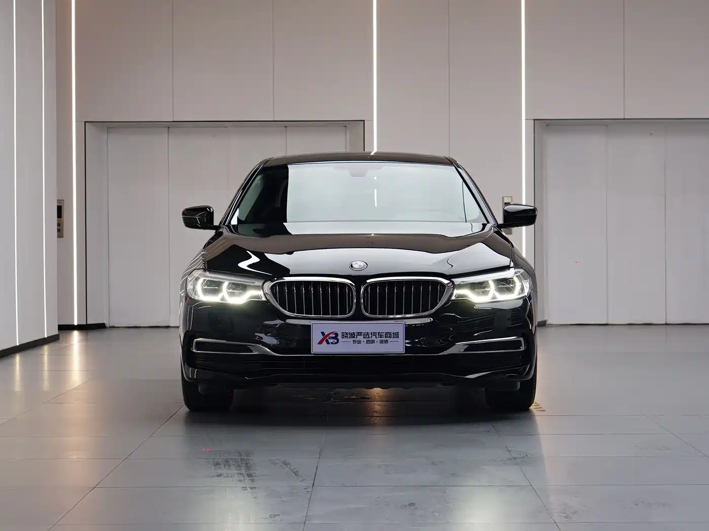 BMW 5 Series 2020 530Li Leading Luxury Package фото 2