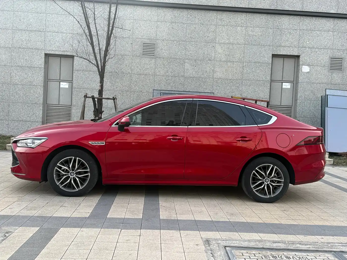 BYD Qin PLUS 2023 Champion Edition DM-i 120KM Excellence фото 7