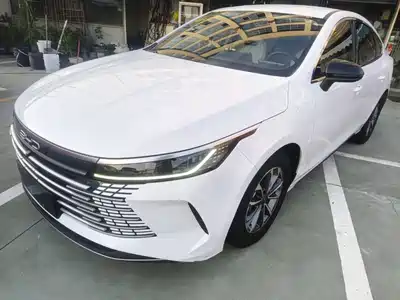 BYD Destroyer 05