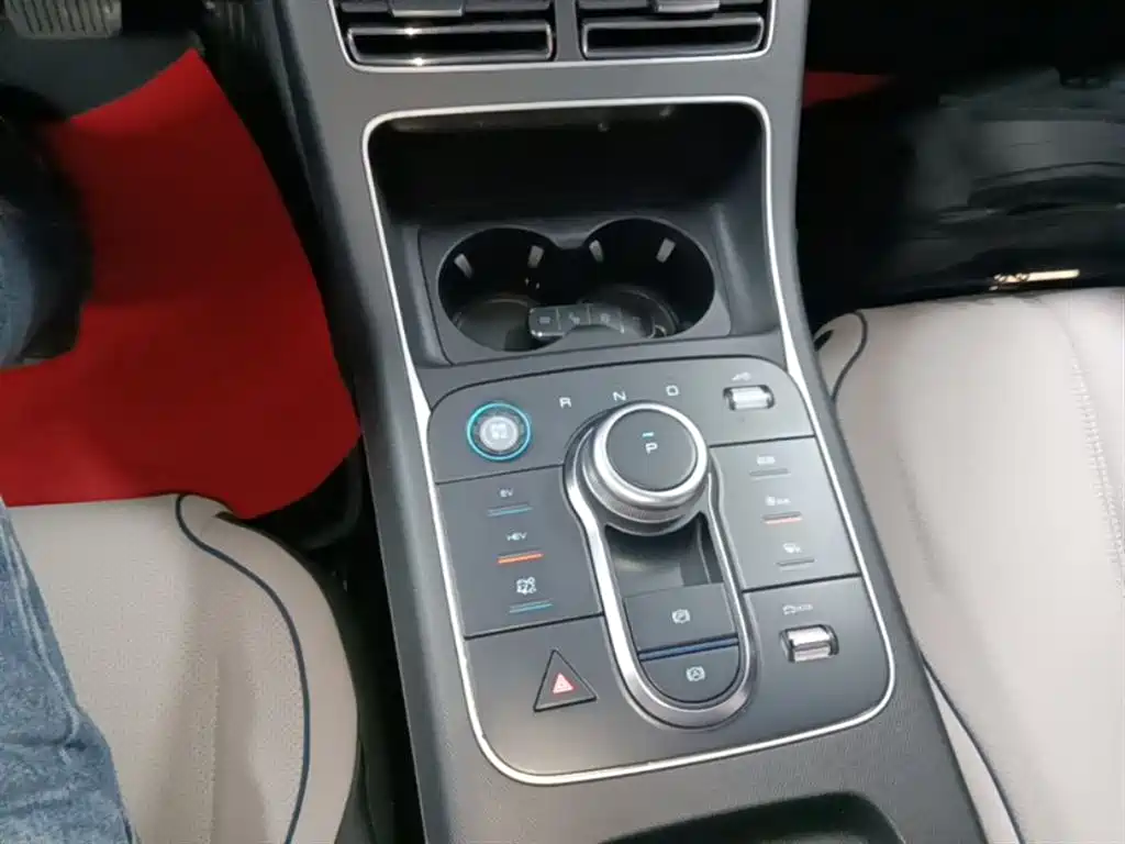 BYD Destroyer 05 2024 Glory Edition DM-i 55KM Luxury фото 6
