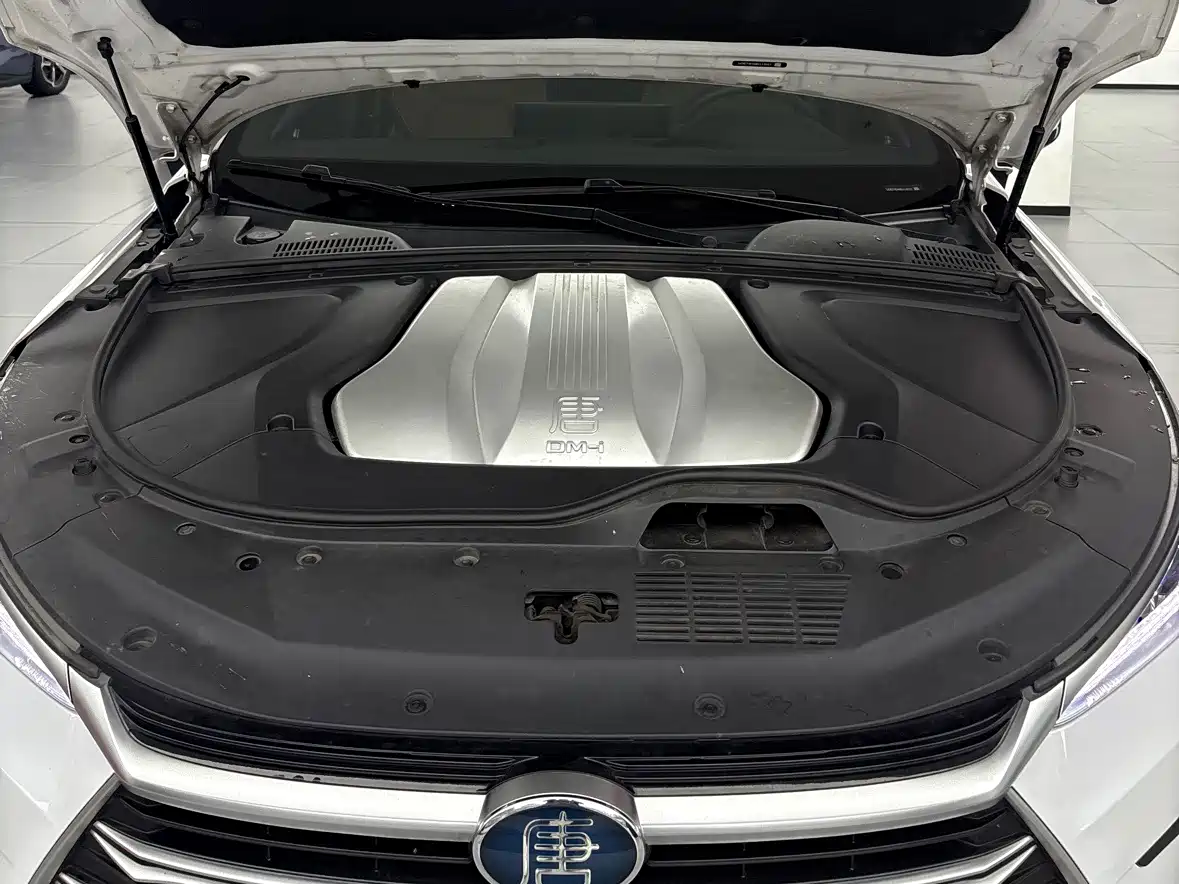 BYD Tang New Energy 2021 DM-i 112KM Honor фото 13