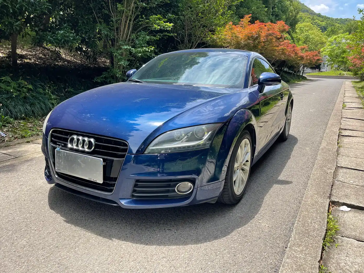 Audi TT 2013 TT Coupe 45 TFSI quattro фото 2
