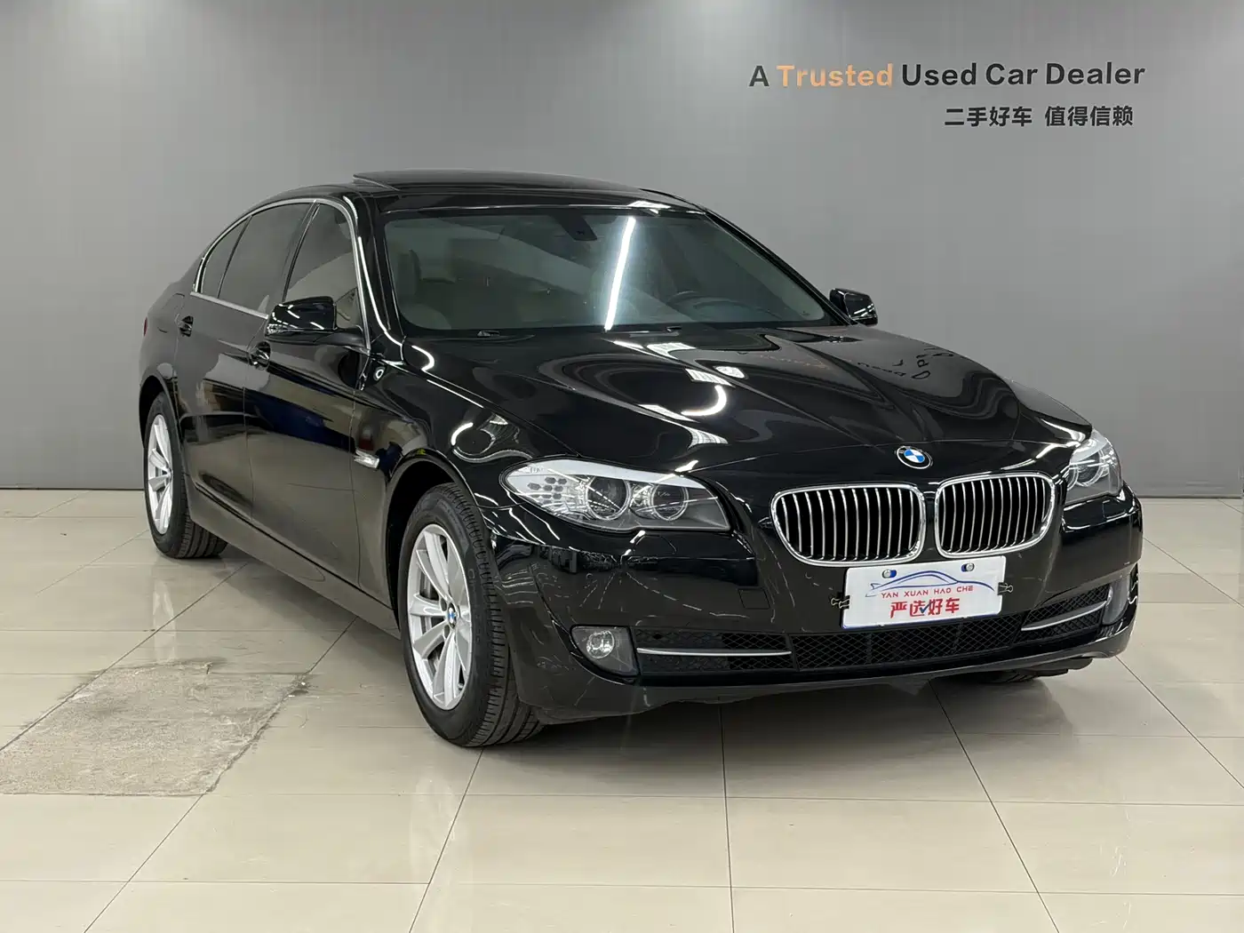 BMW 5 Series 2013 520Li Elegance фото 3
