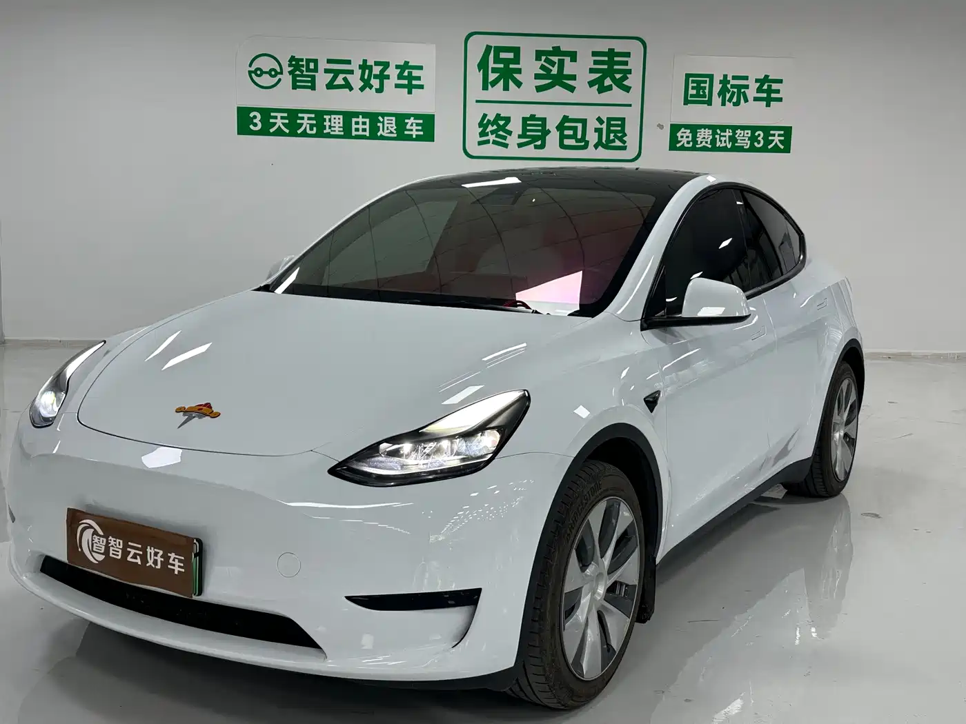Tesla Model Y 2022 Rear-Wheel Drive Version