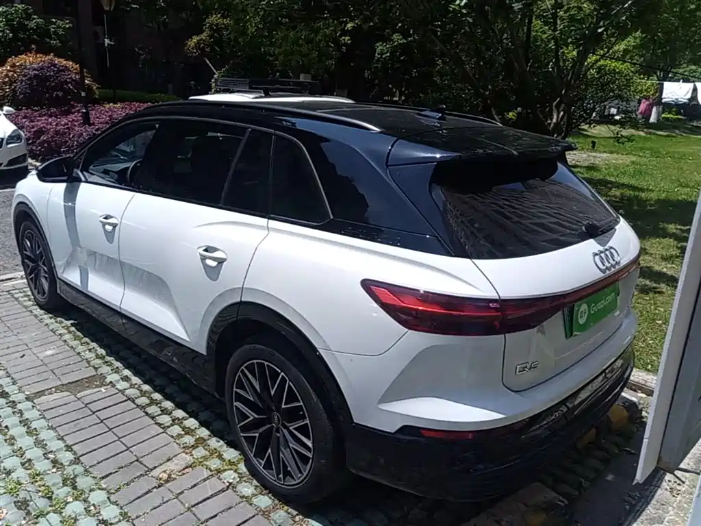 Audi Q5 e-tron 2022 40 e-tron Starlight Mech Suit фото 23