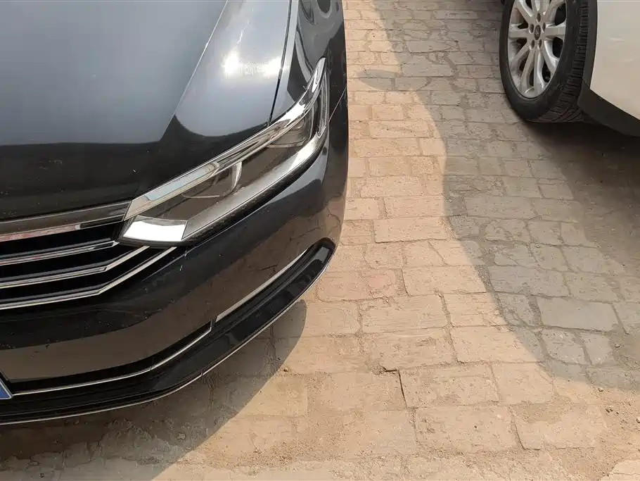 Volkswagen Magotan 2019 330TSI DSG Luxury China V фото 5