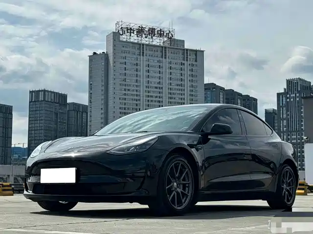 Tesla Model 3 2022 Model Rear-Wheel Drive Version