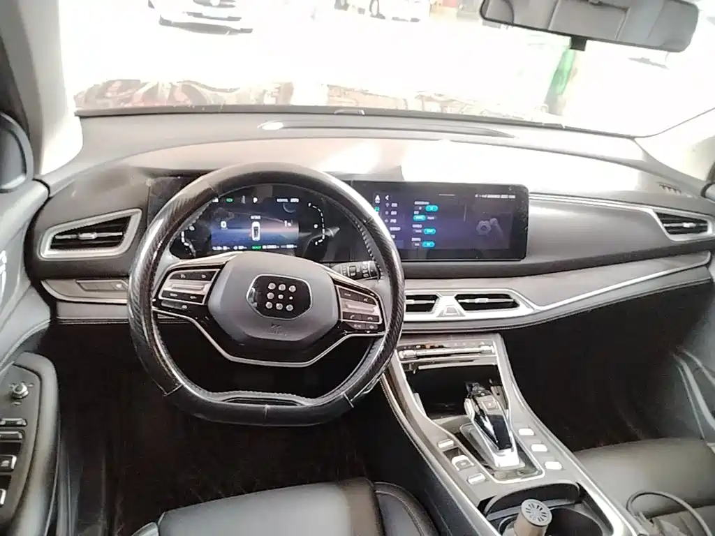 Landian E5 2024 2024 Glory Edition 100KM Comfort Type 5-Seater